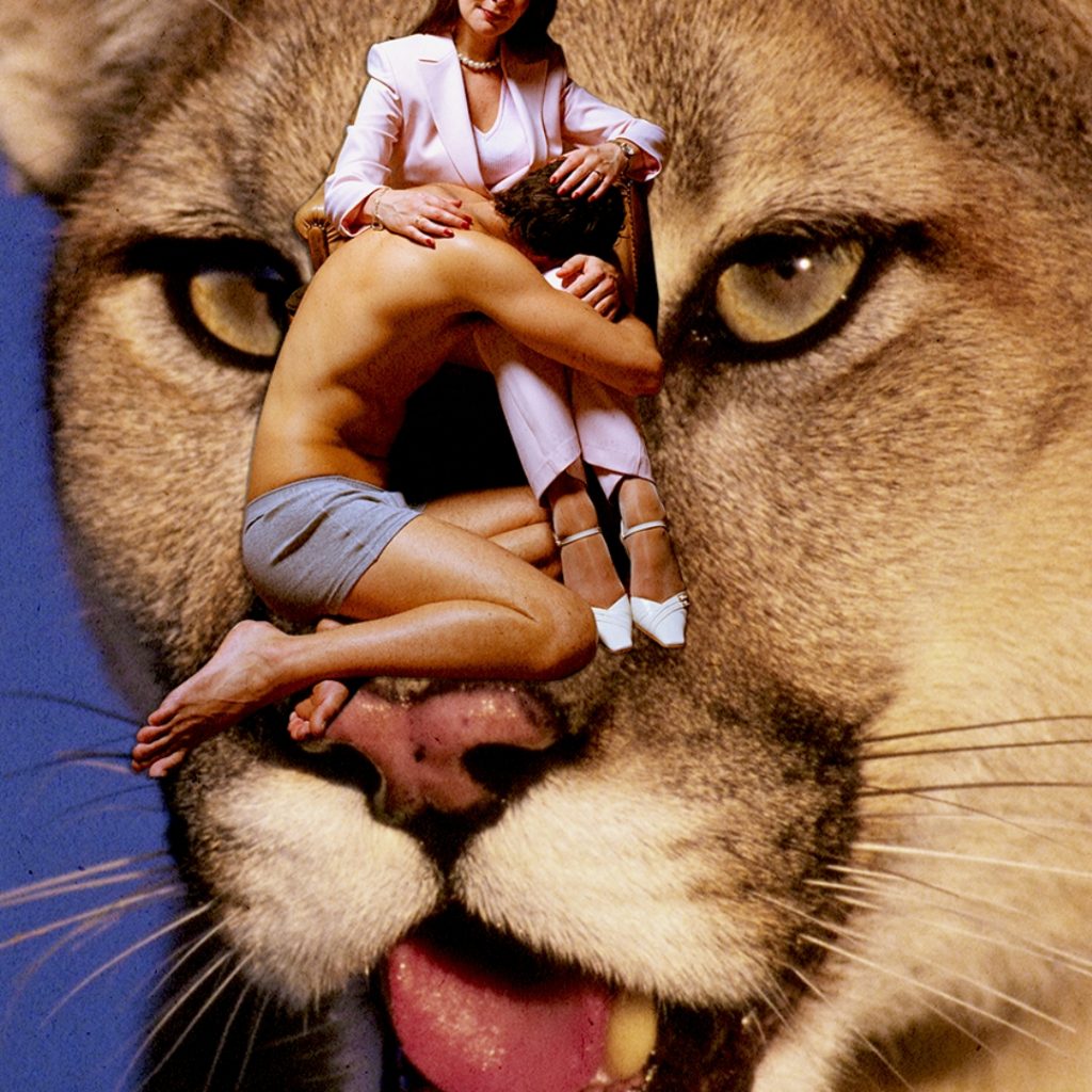 a collage of the face of a cougar behind a younger man wrapping arms around a woman's legs