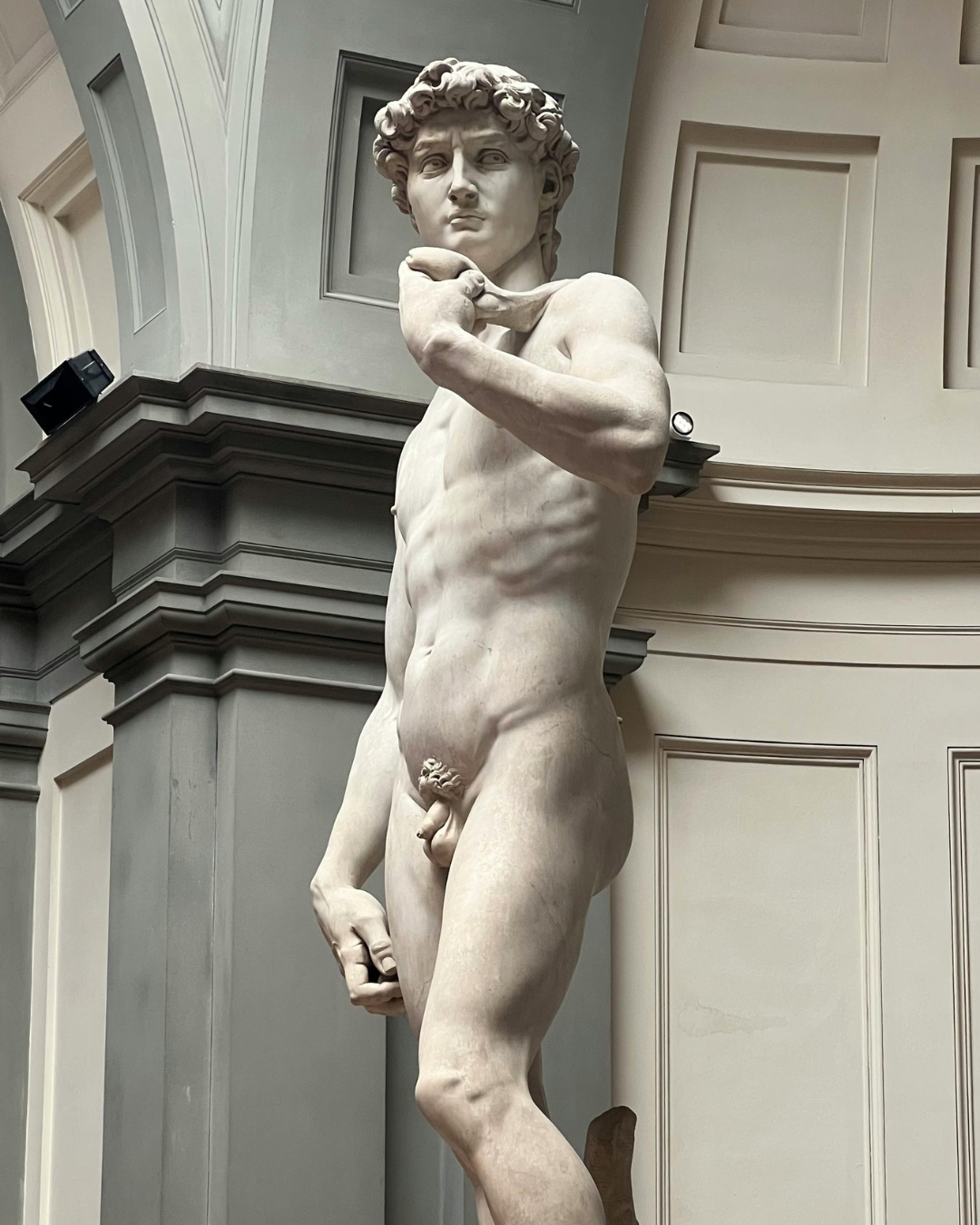 A photograph of the statue David by Michelangelo, as situated inside a gallery and captured from the calf upward (Article: what is the average penis size and do women care?)